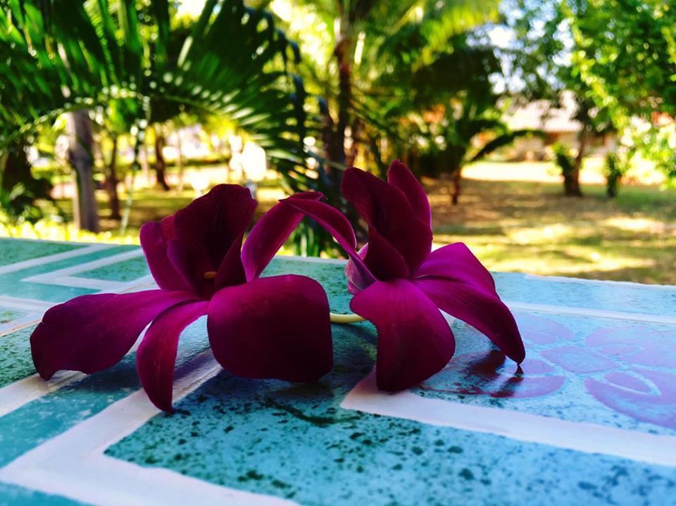 Lanta Queen Resort Ko Lanta Esterno foto